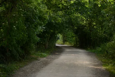 DSC_2494 (Large).JPG